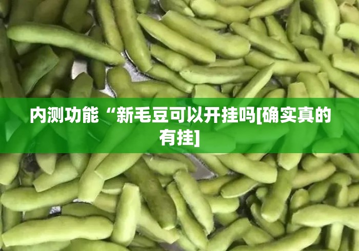 内测功能“新毛豆可以开挂吗[确实真的有挂]