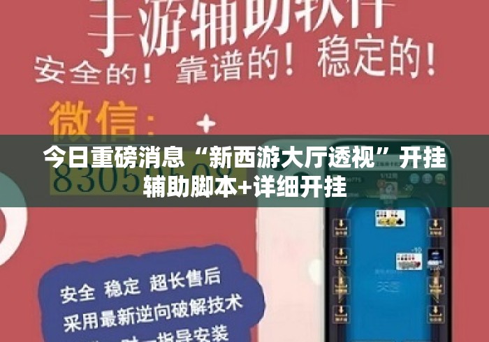 今日重磅消息“新西游大厅透视”开挂辅助脚本+详细开挂