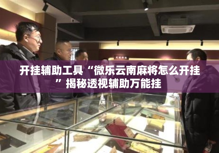 开挂辅助工具“微乐云南麻将怎么开挂”揭秘透视辅助万能挂 