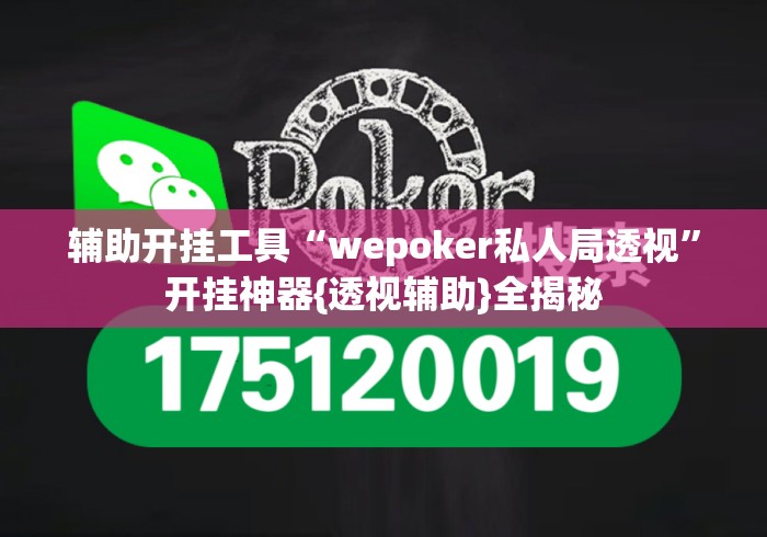 辅助开挂工具“wepoker私人局透视	”开挂神器{透视辅助}全揭秘