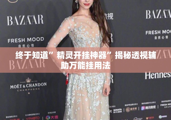 终于知道”精灵开挂神器	”揭秘透视辅助万能挂用法