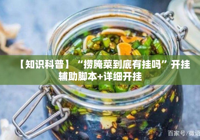 【知识科普】“捞腌菜到底有挂吗	”开挂辅助脚本+详细开挂