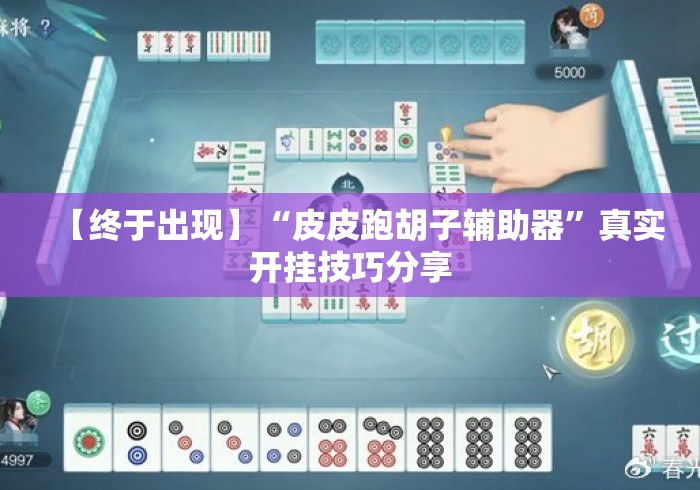 【终于出现】“皮皮跑胡子辅助器	”真实开挂技巧分享