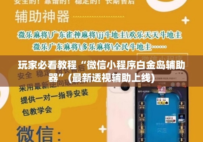 玩家必看教程“微信小程序白金岛辅助器”(最新透视辅助上线)