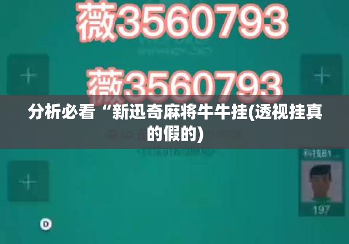 分析必看“新迅奇麻将牛牛挂(透视挂真的假的)