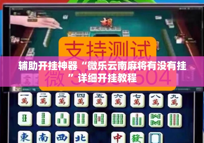 辅助开挂神器“微乐云南麻将有没有挂”详细开挂教程