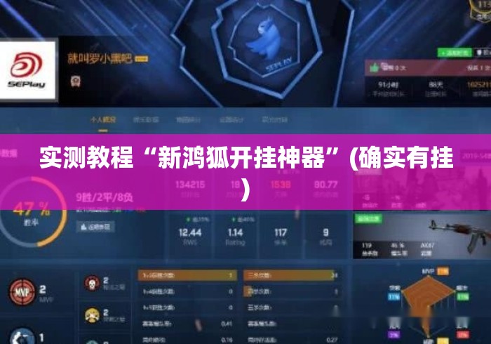 实测教程“新鸿狐开挂神器	”(确实有挂)