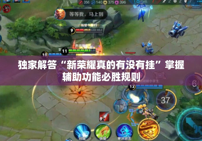 独家解答“新荣耀真的有没有挂”掌握辅助功能必胜规则