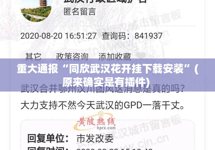 重大通报“同欣武汉花开挂下载安装”(原来确实是有插件) 