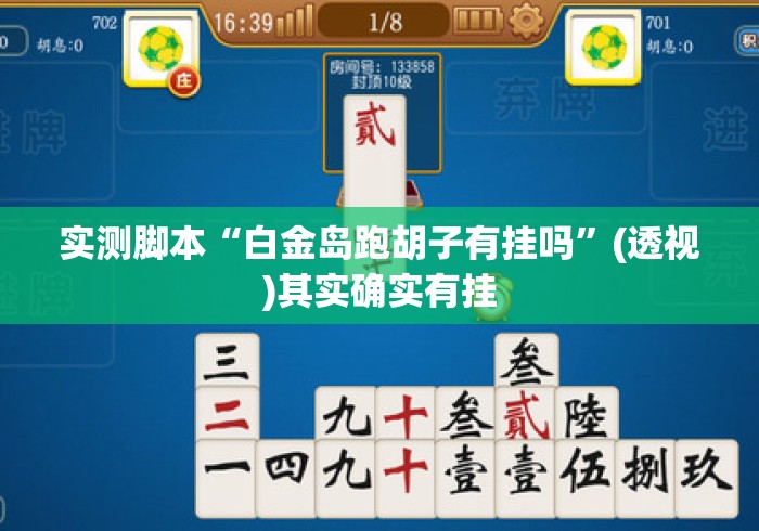 实测脚本“白金岛跑胡子有挂吗”(透视)其实确实有挂