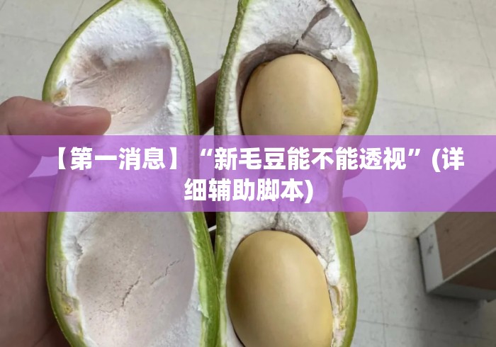 【第一消息】“新毛豆能不能透视”(详细辅助脚本)