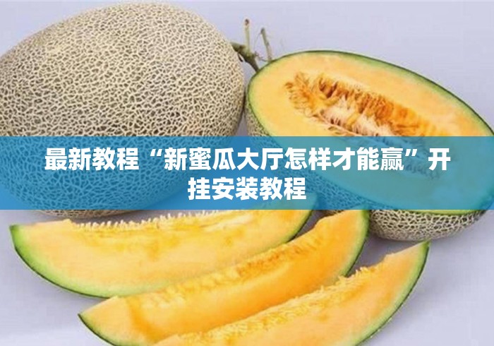 最新教程“新蜜瓜大厅怎样才能赢”开挂安装教程