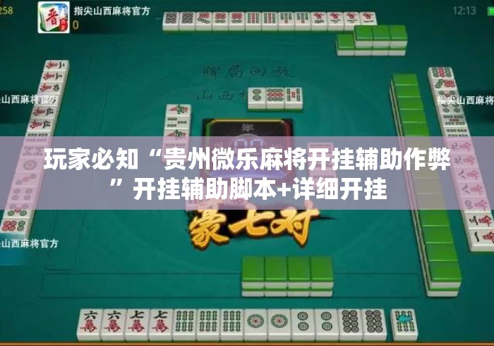 玩家必知“贵州微乐麻将开挂辅助作弊”开挂辅助脚本+详细开挂