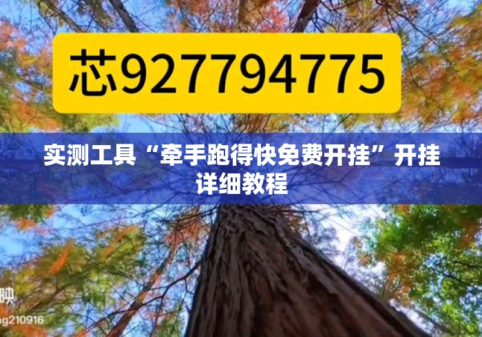 实测工具“牵手跑得快免费开挂”开挂详细教程