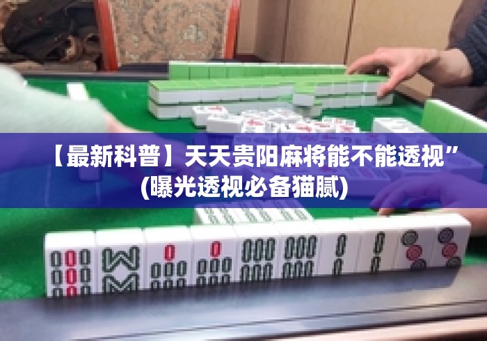 【最新科普】天天贵阳麻将能不能透视”(曝光透视必备猫腻)