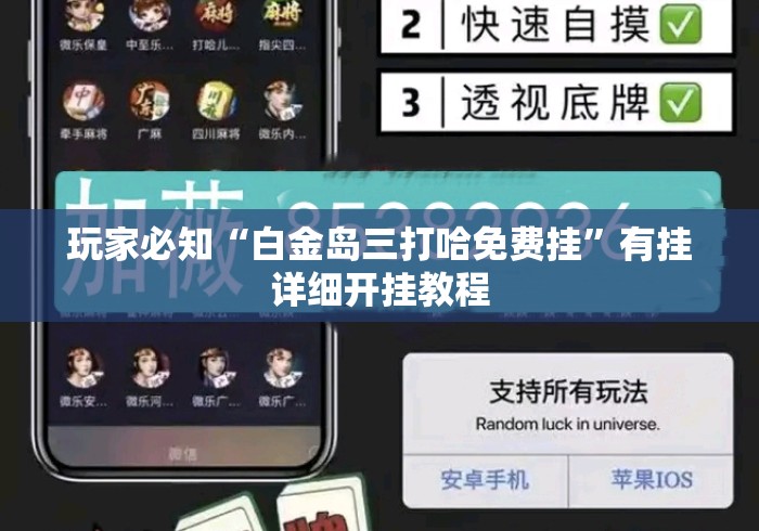 玩家必知“白金岛三打哈免费挂”有挂详细开挂教程