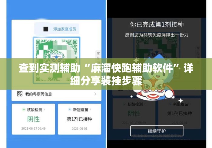 查到实测辅助“麻溜快跑辅助软件”详细分享装挂步骤