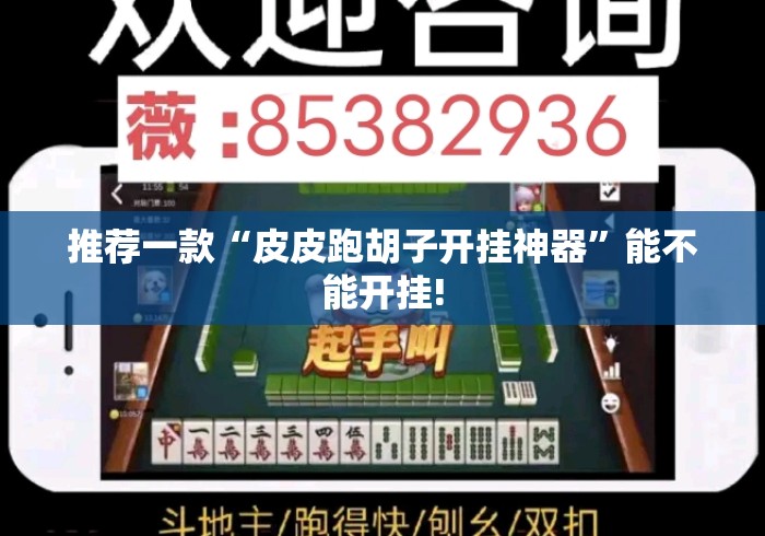 推荐一款“皮皮跑胡子开挂神器”能不能开挂!