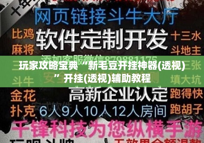 玩家攻略宝典“新毛豆开挂神器(透视)	”开挂(透视)辅助教程