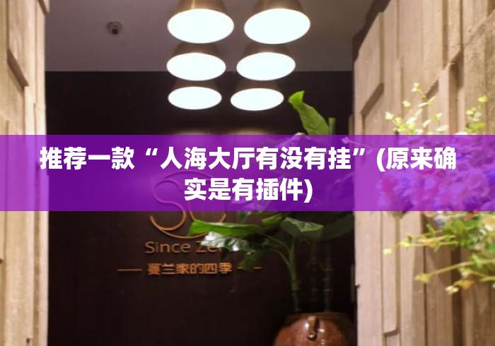 推荐一款“人海大厅有没有挂	”(原来确实是有插件)