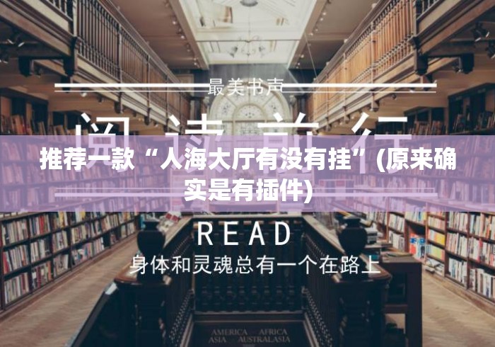 推荐一款“人海大厅有没有挂”(原来确实是有插件)
