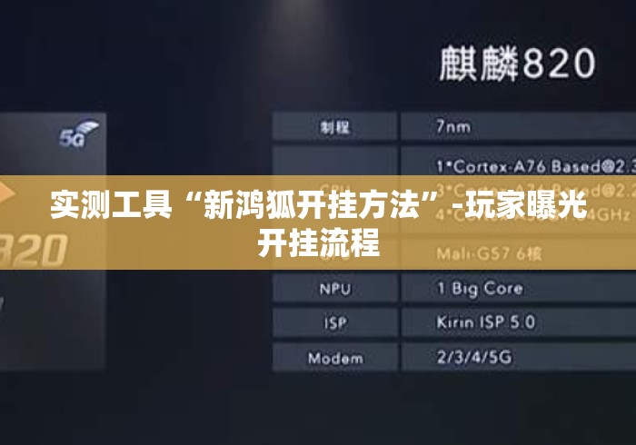 实测工具“新鸿狐开挂方法”-玩家曝光开挂流程