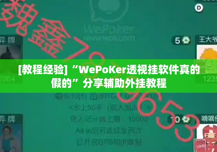 [教程经验]“WePoKer透视挂软件真的假的	”分享辅助外挂教程