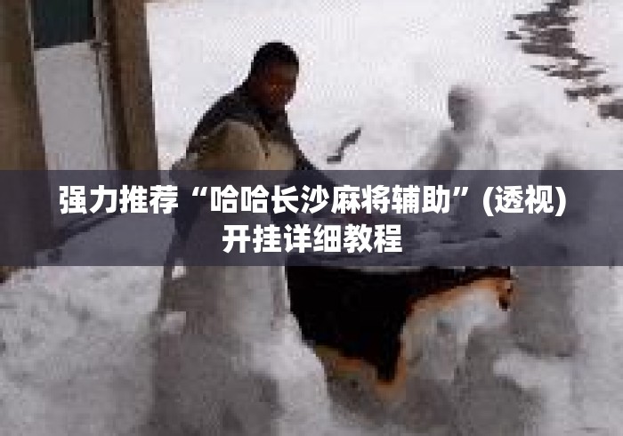 强力推荐“哈哈长沙麻将辅助”(透视)开挂详细教程