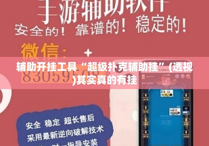 辅助开挂工具“超级扑克辅助挂”(透视)其实真的有挂