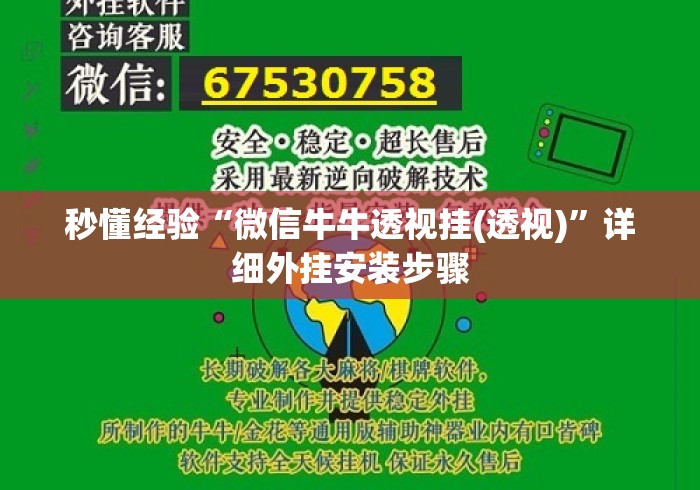秒懂经验“微信牛牛透视挂(透视)”详细外挂安装步骤