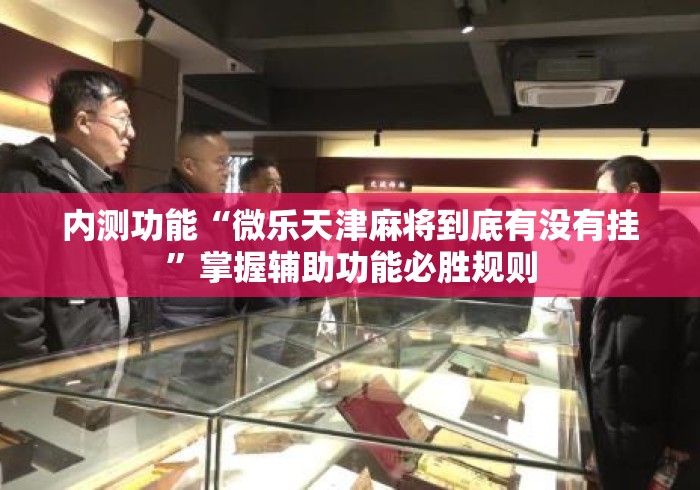 内测功能“微乐天津麻将到底有没有挂	”掌握辅助功能必胜规则