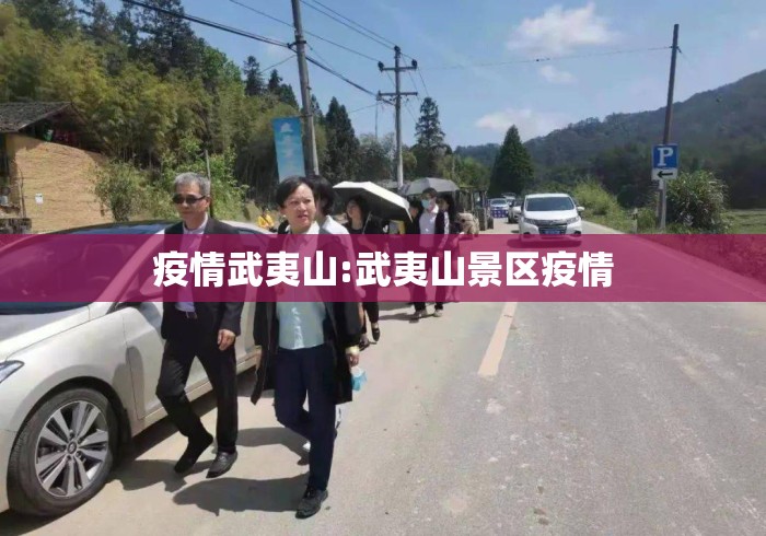 教程开挂辅助:“青鸟大厅拼三张透视	”详细辅助软件教程