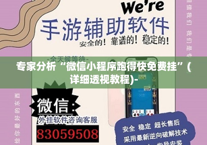 专家分析“微信小程序跑得快免费挂”(详细透视教程)-