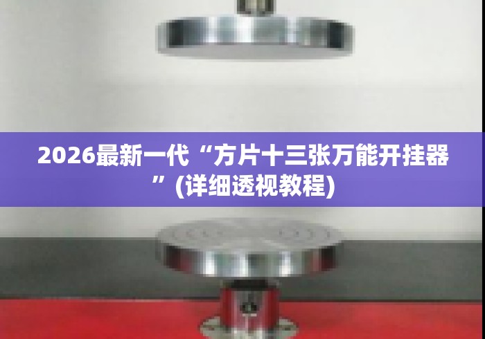 2026最新一代“方片十三张万能开挂器”(详细透视教程)