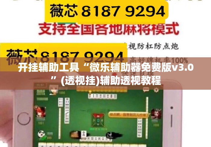 开挂辅助工具“微乐辅助器免费版v3.0	”(透视挂)辅助透视教程