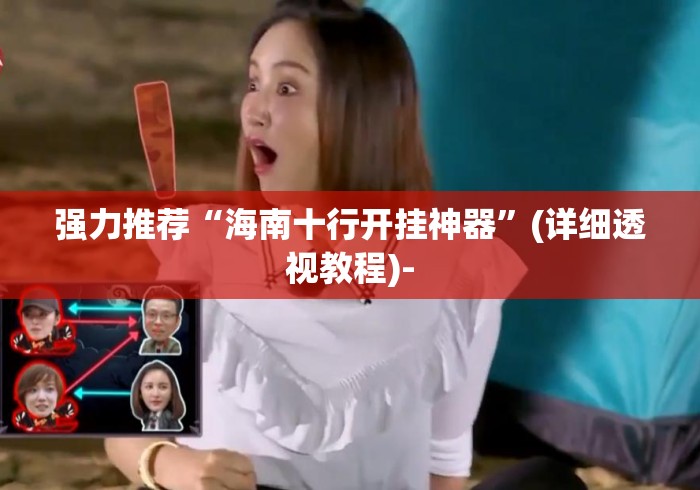 强力推荐“海南十行开挂神器”(详细透视教程)-