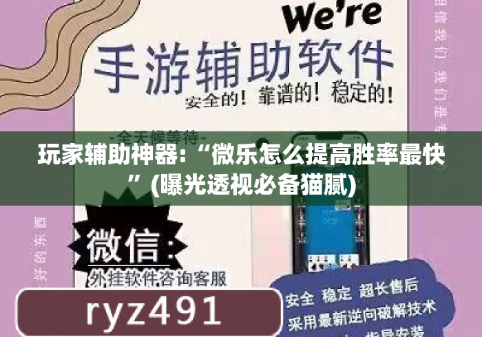 玩家辅助神器:“微乐怎么提高胜率最快”(曝光透视必备猫腻)