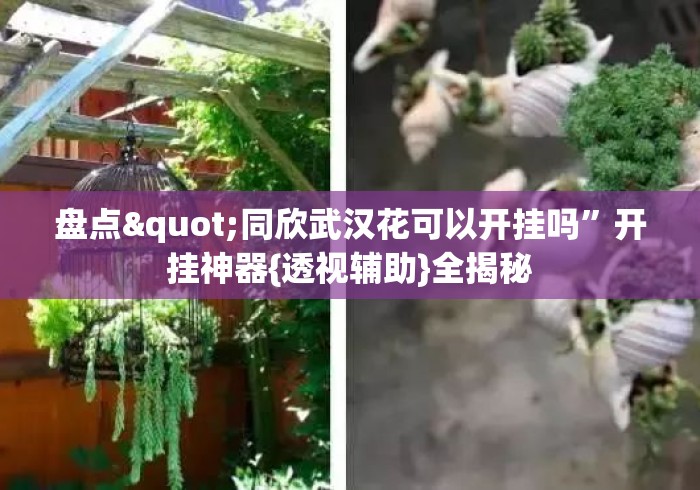 盘点"同欣武汉花可以开挂吗	”开挂神器{透视辅助}全揭秘