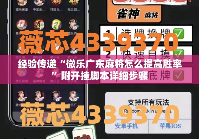 经验传递“微乐广东麻将怎么提高胜率”附开挂脚本详细步骤