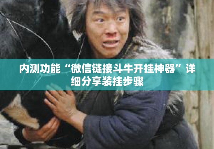 内测功能“微信链接斗牛开挂神器”详细分享装挂步骤