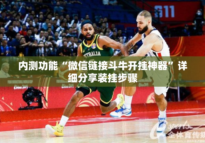 内测功能“微信链接斗牛开挂神器”详细分享装挂步骤