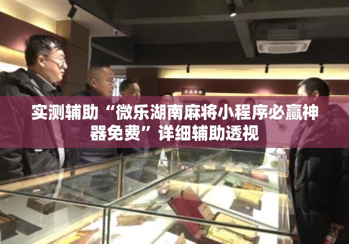实测辅助“微乐湖南麻将小程序必赢神器免费	”详细辅助透视