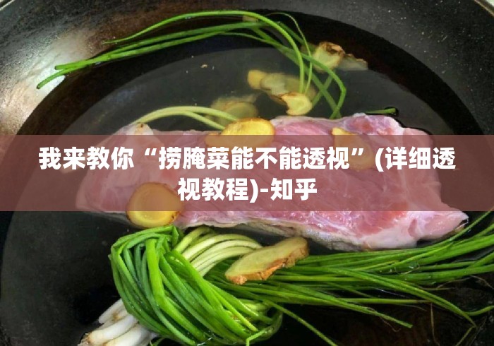 我来教你“捞腌菜能不能透视”(详细透视教程)-知乎
