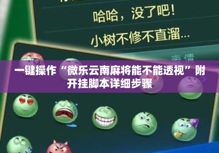一键操作“微乐云南麻将能不能透视”附开挂脚本详细步骤