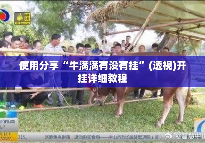 使用分享“牛满满有没有挂	”(透视)开挂详细教程