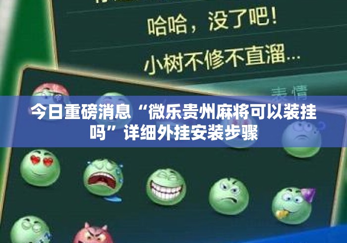 今日重磅消息“微乐贵州麻将可以装挂吗	”详细外挂安装步骤