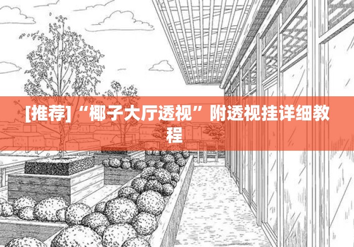 [推荐]“椰子大厅透视	”附透视挂详细教程 