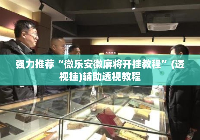 强力推荐“微乐安徽麻将开挂教程”(透视挂)辅助透视教程