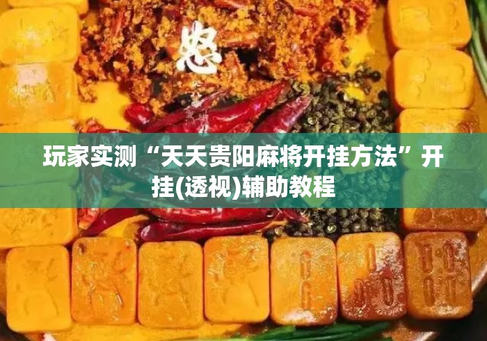 玩家实测“天天贵阳麻将开挂方法”开挂(透视)辅助教程
