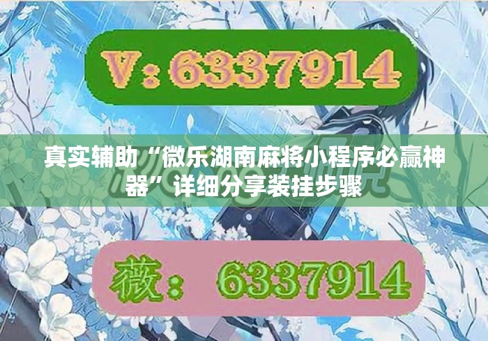 真实辅助“微乐湖南麻将小程序必赢神器	”详细分享装挂步骤